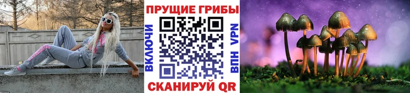 Купить закладки Ворсма Псилоцибиновые грибы Cubensis