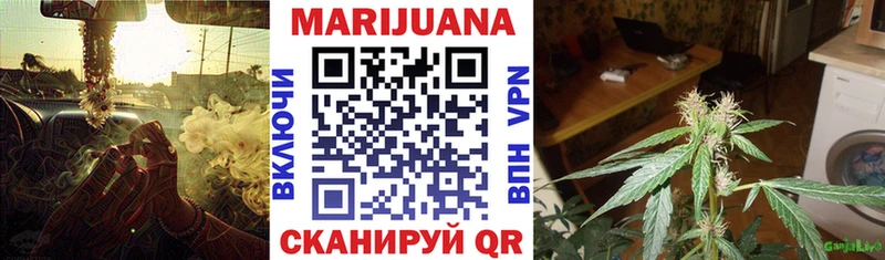 Купить где  Ворсма  Канабис семена 
